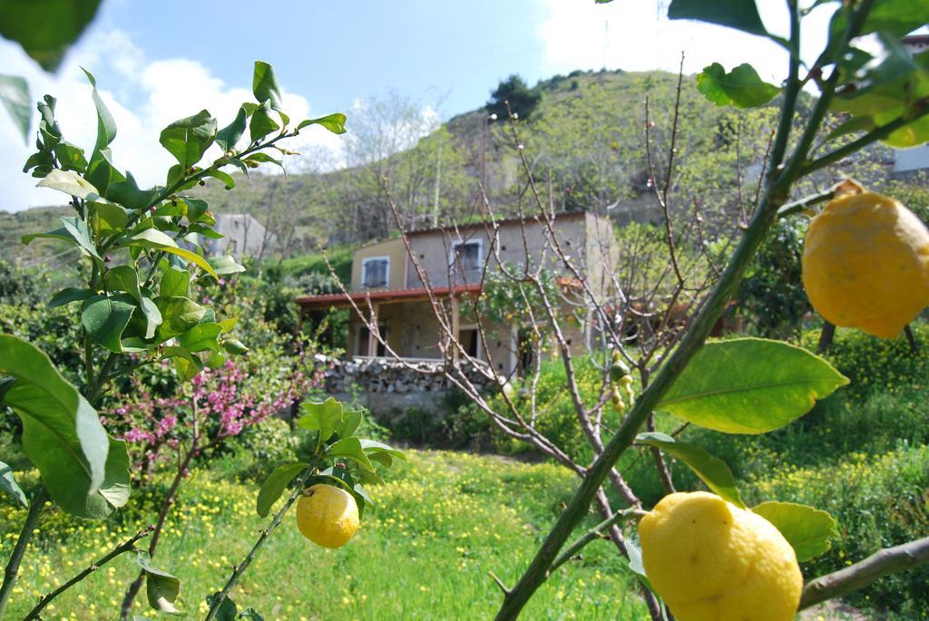 Al Melograno B&B Belmonte Calabro Kamer foto