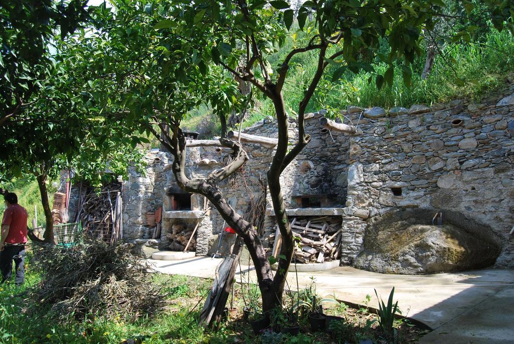 Al Melograno B&B Belmonte Calabro Kamer foto