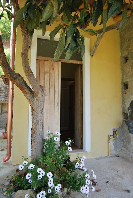 Al Melograno B&B Belmonte Calabro Buitenkant foto